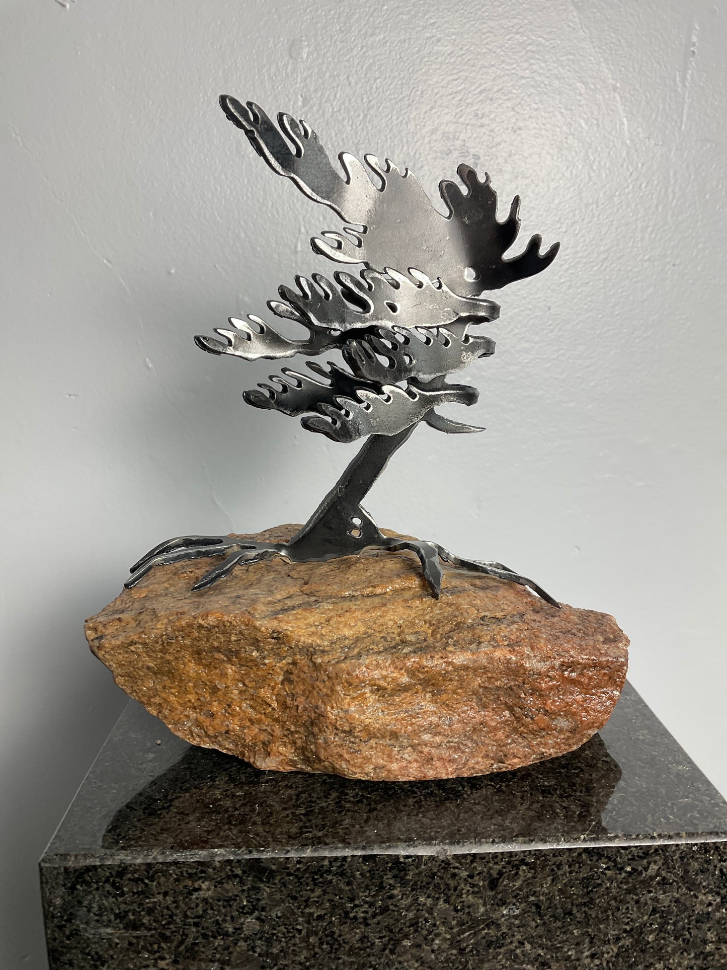 Cathy Mark windswept tree on granite