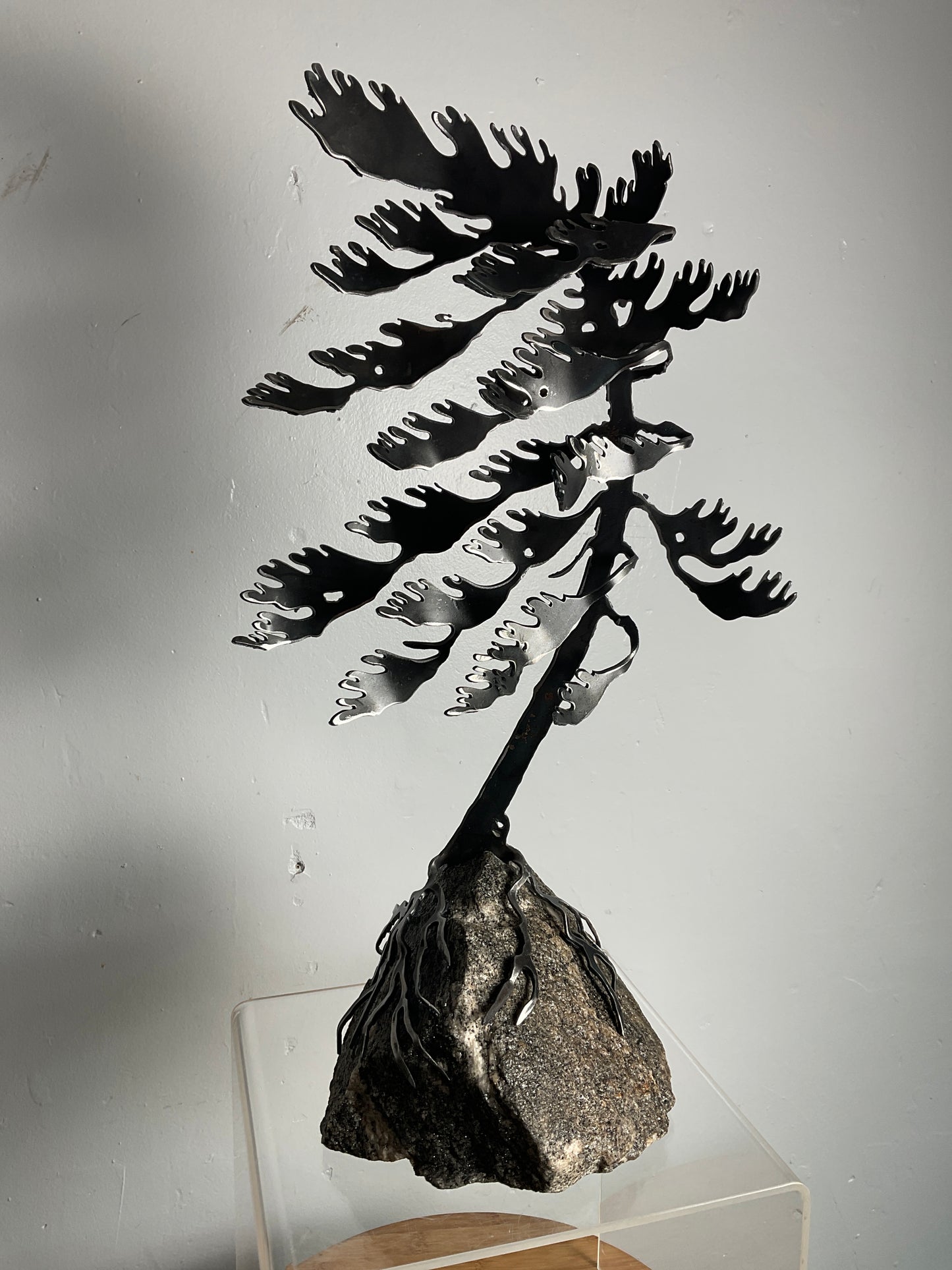 Cathy Mark windswept pine on granite