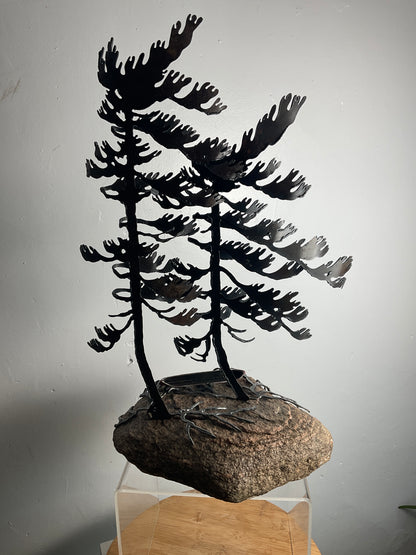 Cathy Mark windswept pines with canoe on granite