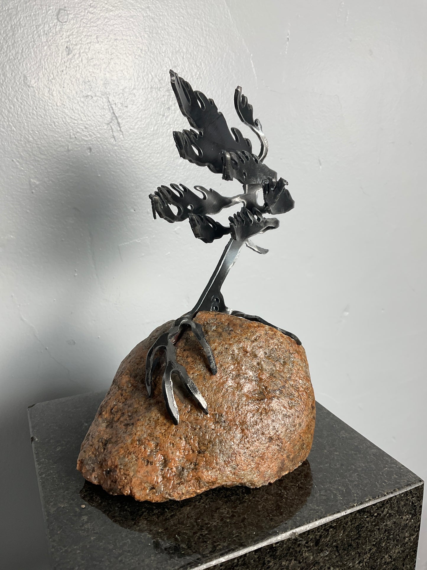 Cathy Mark windswept pine on granite