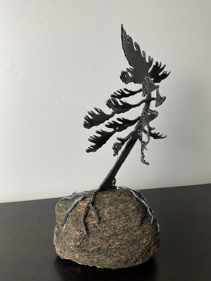 Cathy Mark windswept tree on granite