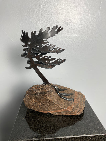 Windswept Pine Steel Sculpture on Granite by Canadian Artist Cathy Mark #45