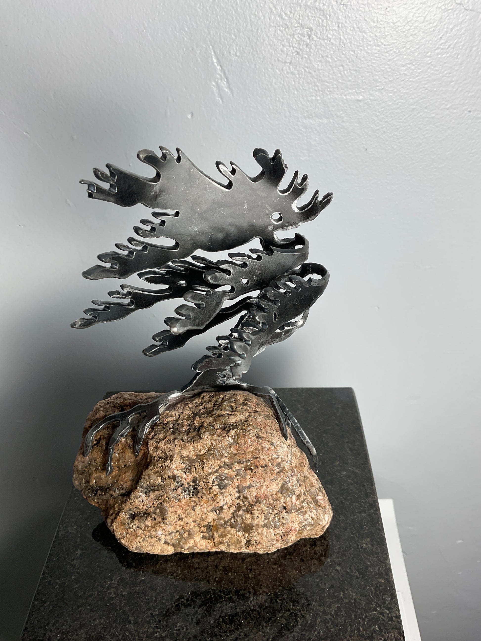 Cathy Mark windswept pine on granite