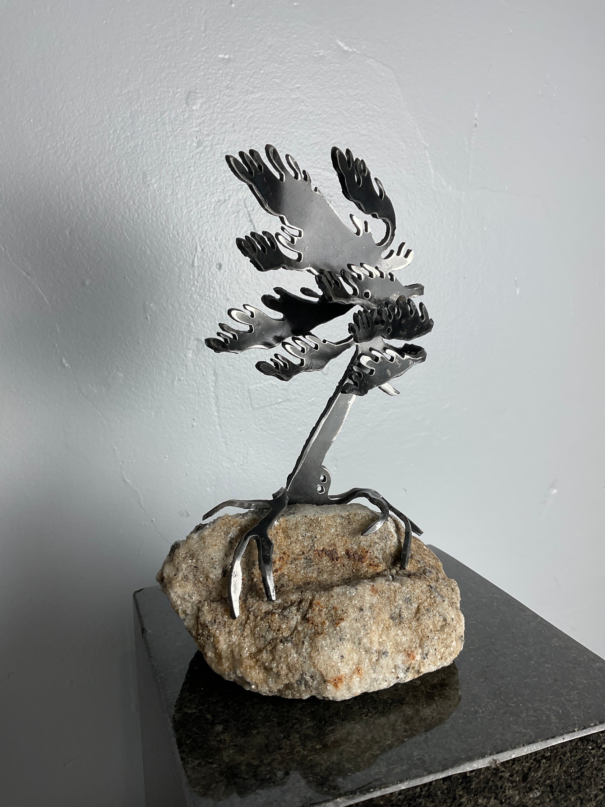 Cathy Mark windswept pine on granite