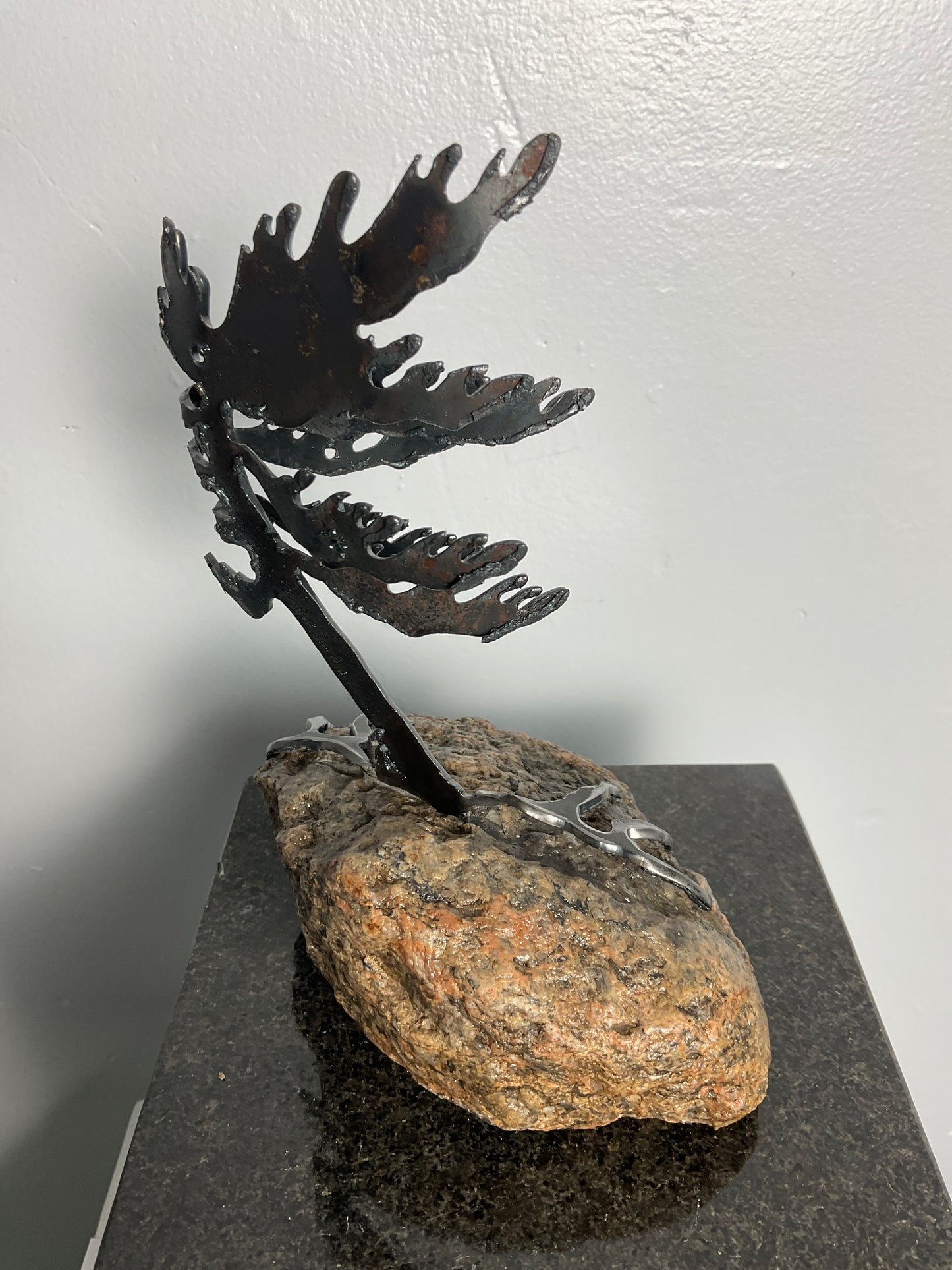 Cathy Mark windswept pine on granite