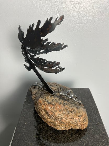 Cathy Mark windswept pine on granite