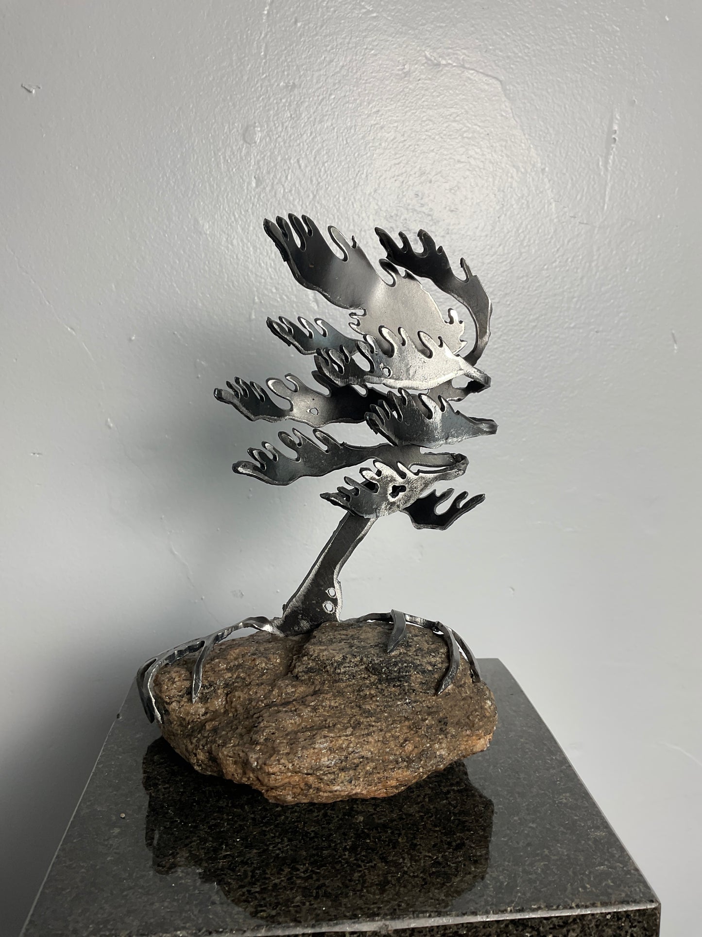 Cathy Mark windswept tree on stone