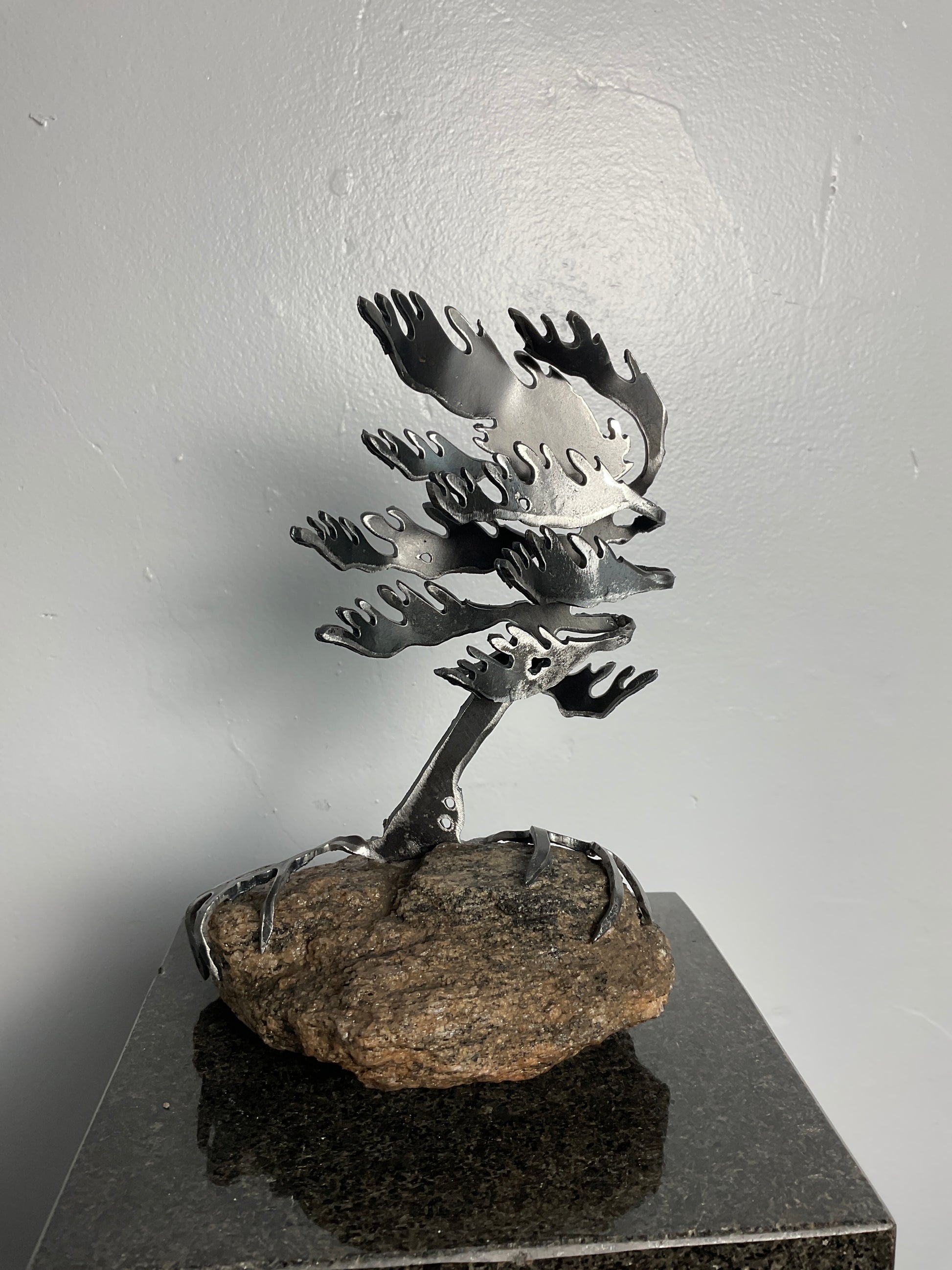 Cathy Mark windswept tree on stone