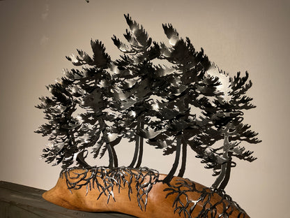 Cathy Mark windswept trees on oak