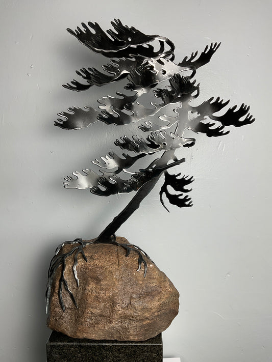 Cathy Mark windswept pine on granite