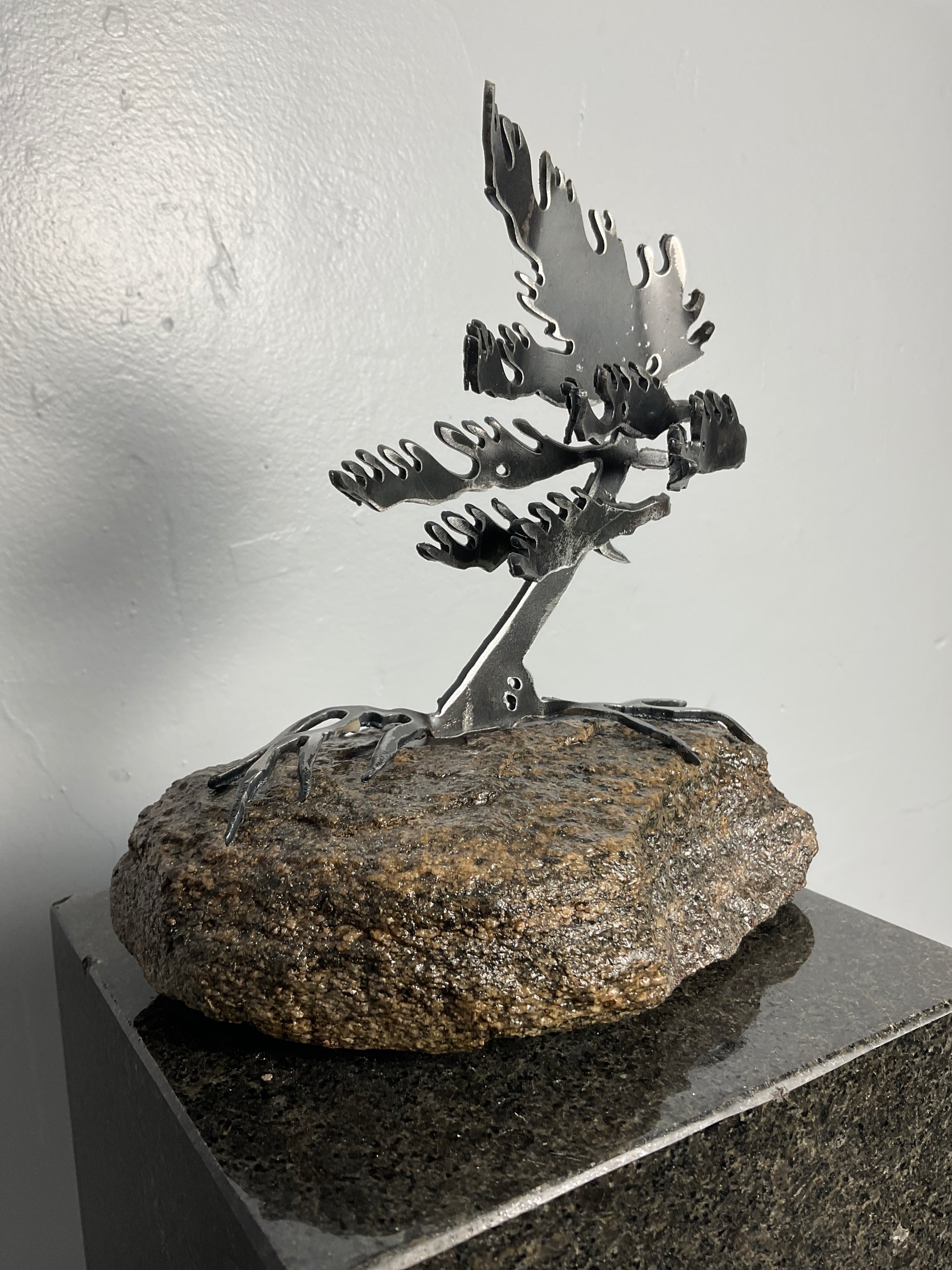 Cathy Mark windswept pine on granite