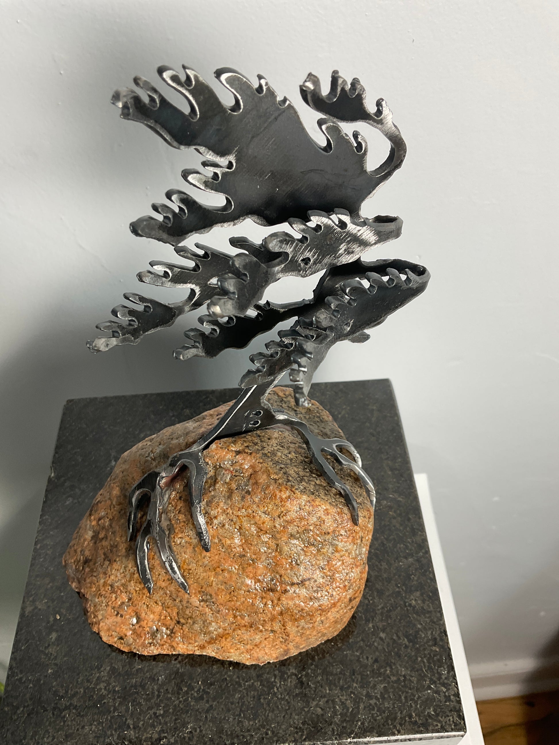 Cathy Mark windswept pine on granite