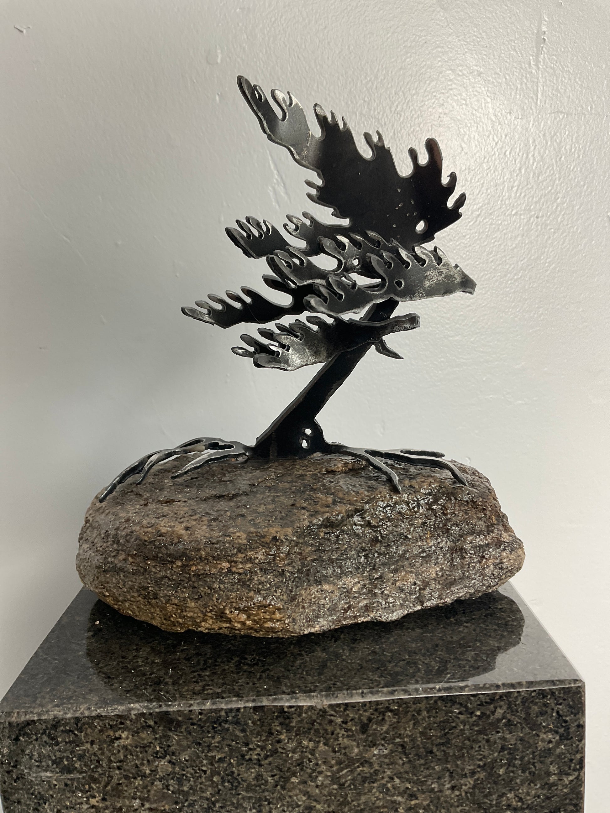 Cathy Mark windswept pine on granite