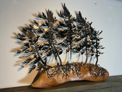 Cathy Mark windswept trees on oak