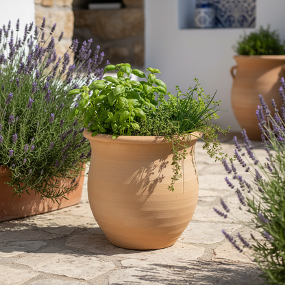 Indomeneas Cretan Terracotta Planter – Lifestyle