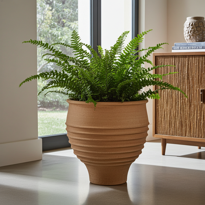 Potted fern in a terracotta pot on a light wooden floor with a window in the background.