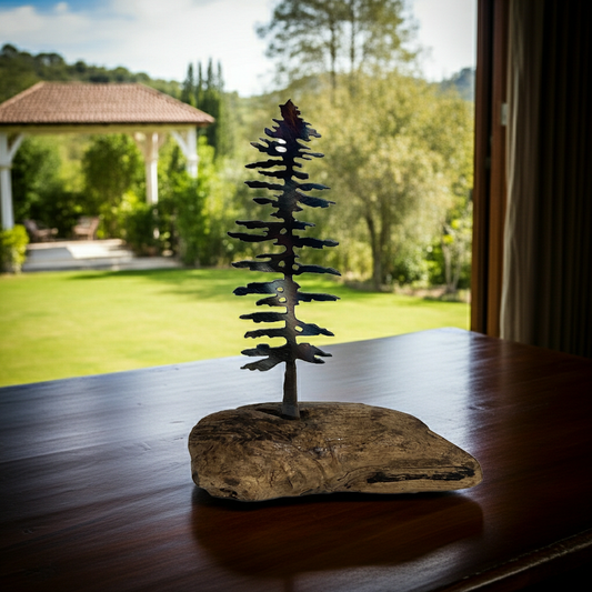 Pine tree on driftwood
