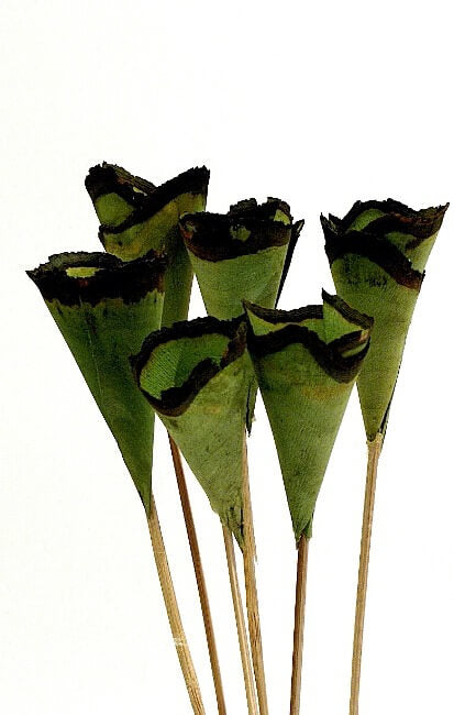 Wood Cones - Moss
