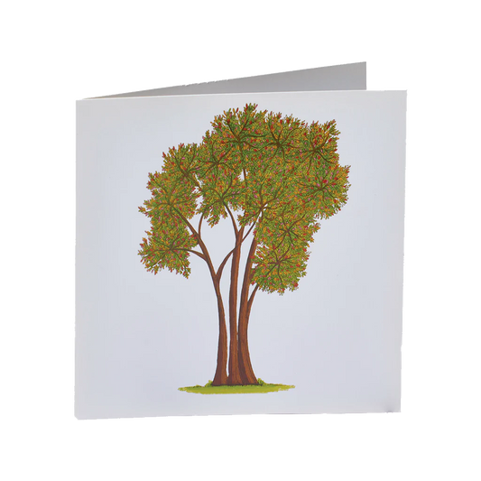 Tree of Celebration Card