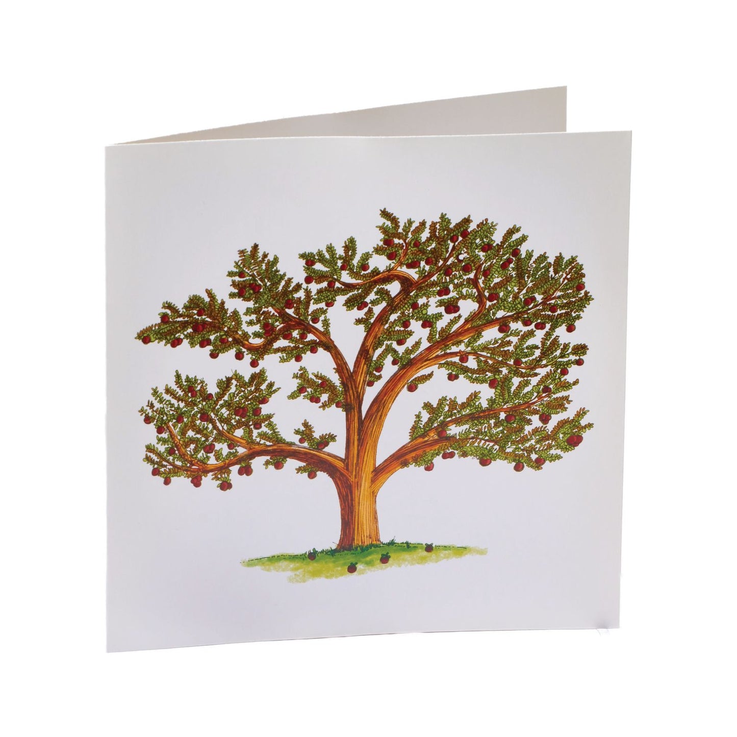 Tree of Giving Card