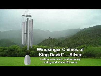 King David - Windsinger