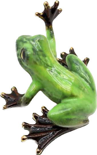 Porcelain Rainforest Frog Green